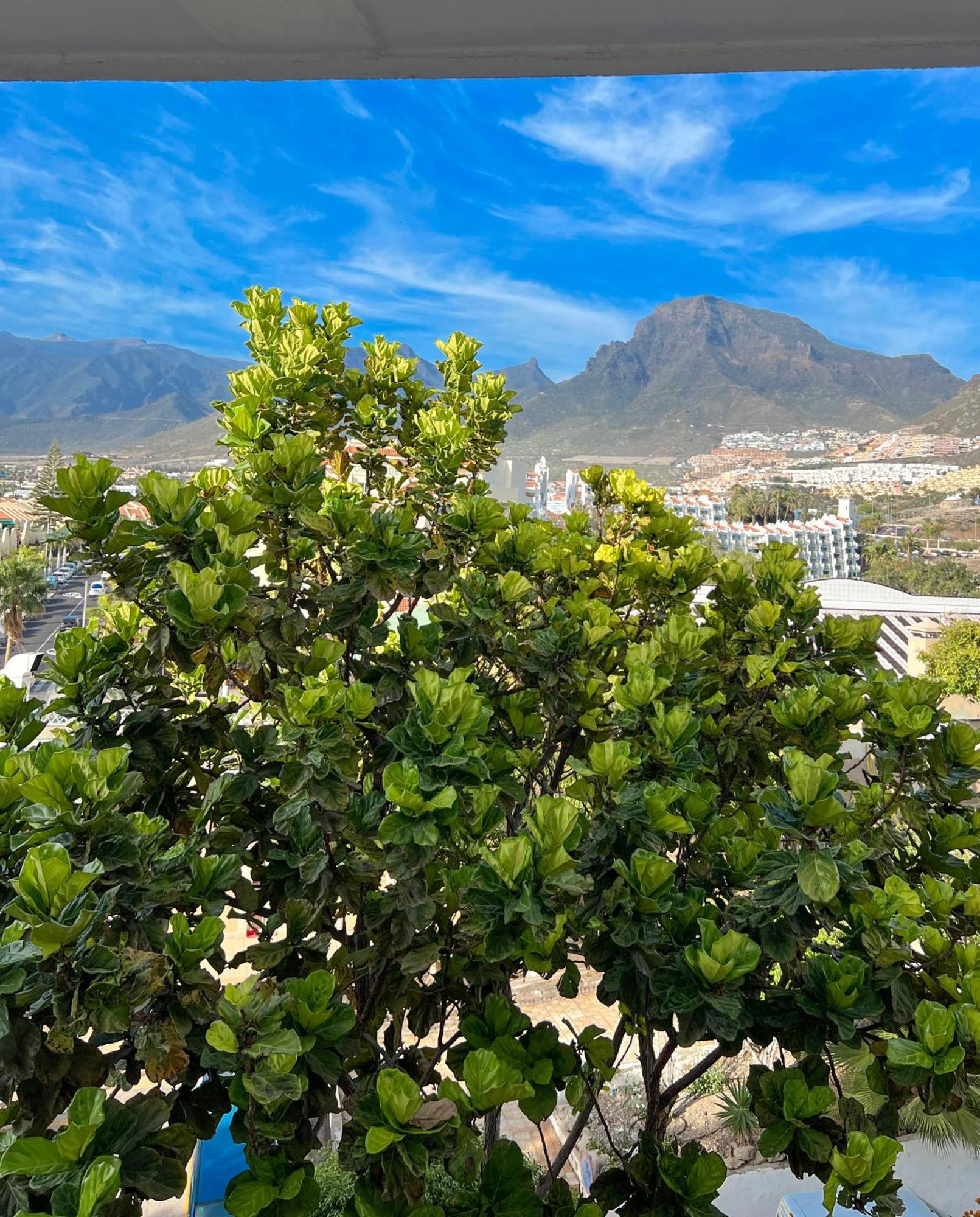 Tenerife Paradise Anna Studio Costa Adeje  Εξωτερικό φωτογραφία